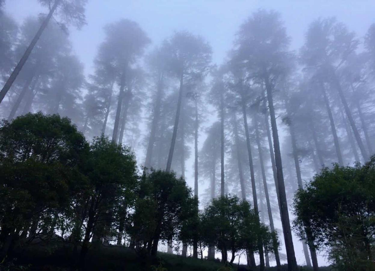 Madhuban Sarovar Portico Mussoorie Ngoại thất bức ảnh